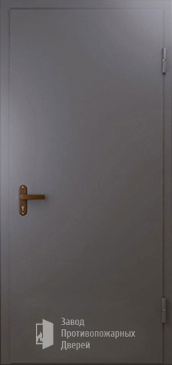 Фото двери «Техническая дверь №1 однопольная» в Хотьково