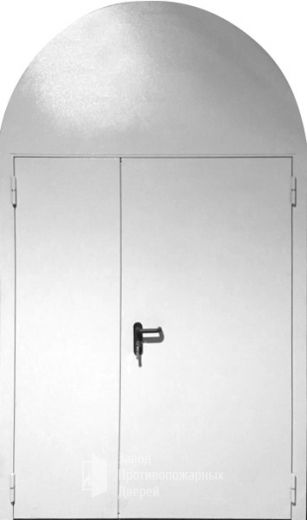 Фото двери «Арочная дверь №2» в Хотьково