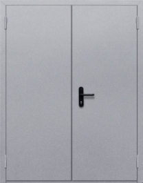 Фото двери «Двупольная глухая» в Хотьково