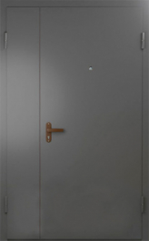 Фото двери «Техническая дверь №6 полуторная» в Хотьково
